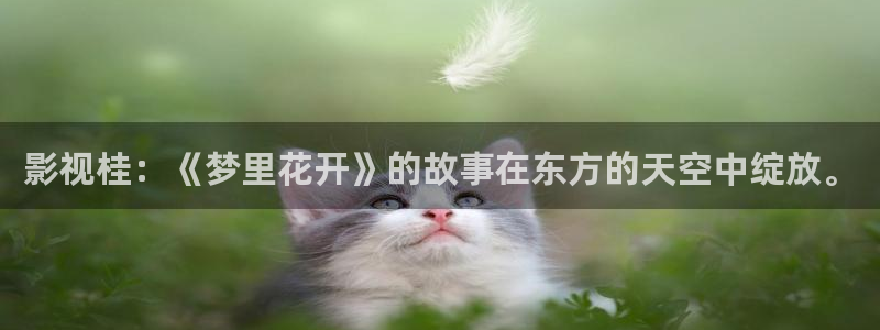 精东影业传媒作品