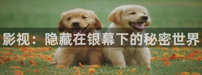 精东影业免费视频