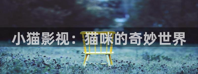 精东影业果冻传媒影视